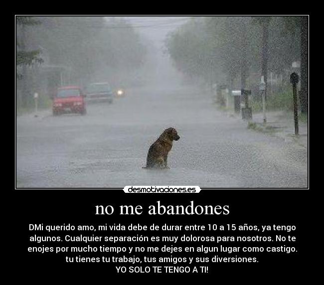 no me abandones - DMi querido amo, mi vida debe de durar entre 10 a 15 años, ya tengo
algunos. Cualquier separación es muy dolorosa para nosotros. No te
enojes por mucho tiempo y no me dejes en algun lugar como castigo.
tu tienes tu trabajo, tus amigos y sus diversiones.
YO SOLO TE TENGO A TI!