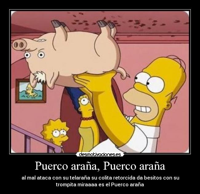 Puerco araña, Puerco araña - al mal ataca con su telaraña su colita retorcida da besitos con su
trompita miraaaa es el Puerco araña