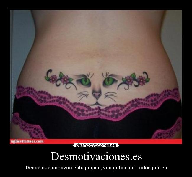 carteles una realidad desmotivaciones