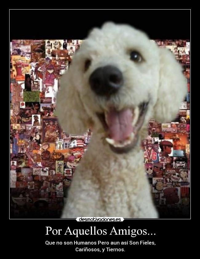 Por Aquellos Amigos... -