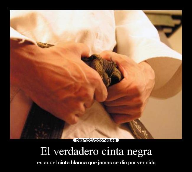 El verdadero cinta negra - es aquel cinta blanca que jamas se dio por vencido