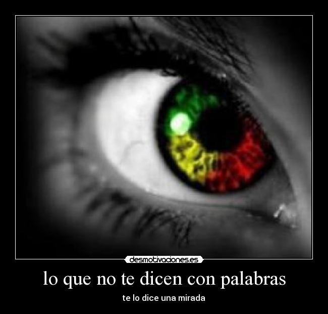 lo que no te dicen con palabras - 