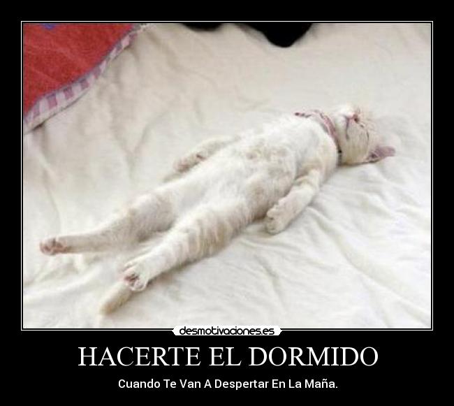 HACERTE EL DORMIDO - 