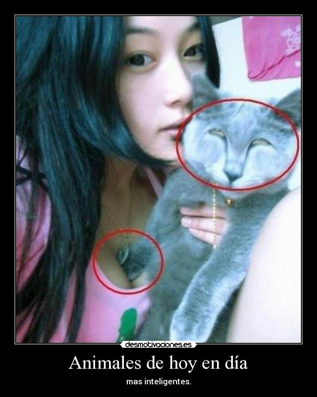 Animales de hoy en día - 