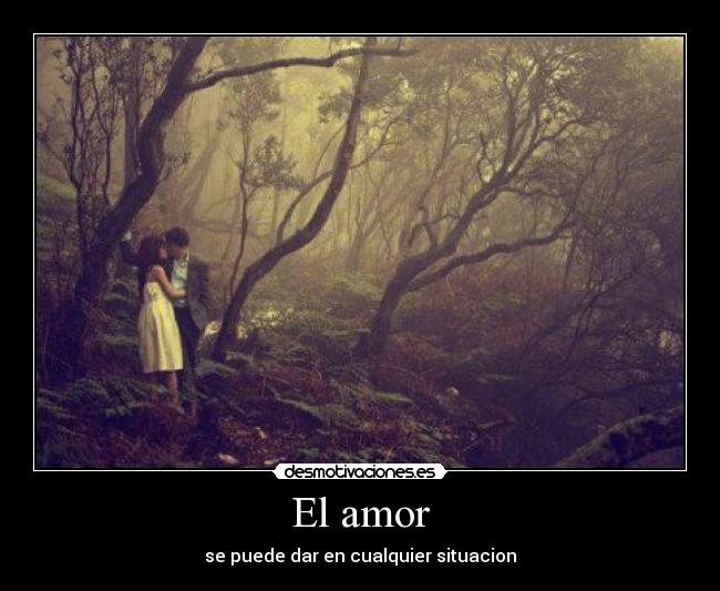 El amor -