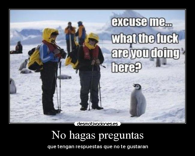 carteles hagas preguntas desmotivaciones