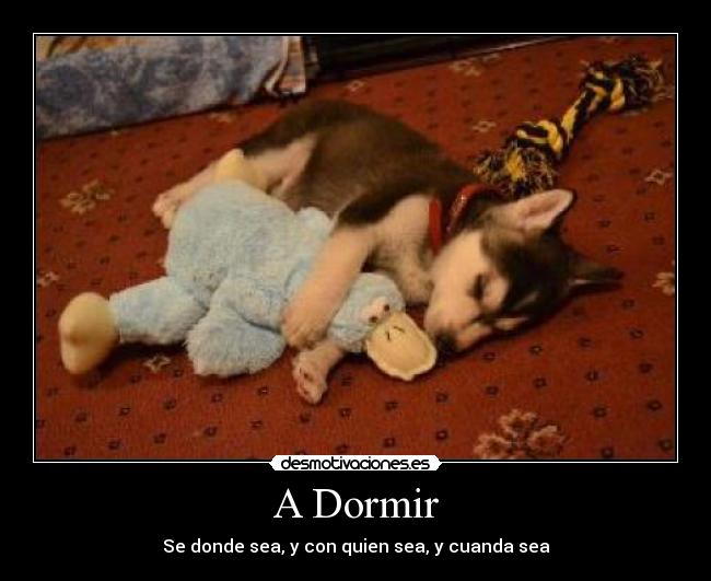 carteles dormir cosas naturalidad desmotivaciones