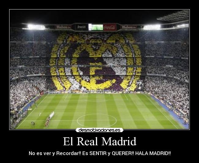 carteles yoshu desmotivaciones