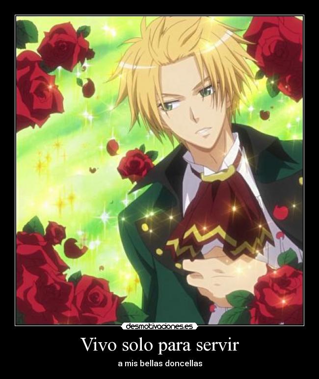 Vivo solo para servir - a mis bellas doncellas