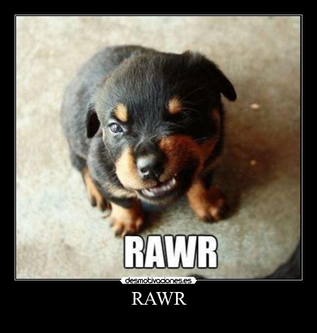 RAWR - 