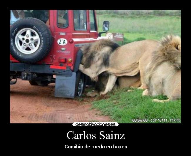 Carlos Sainz - Camibio de rueda en boxes