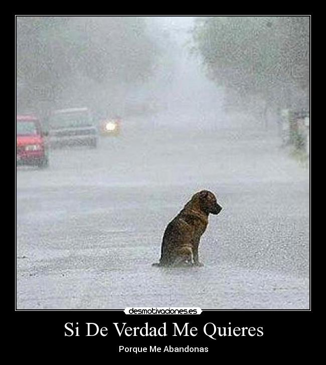 Si De Verdad Me Quieres -