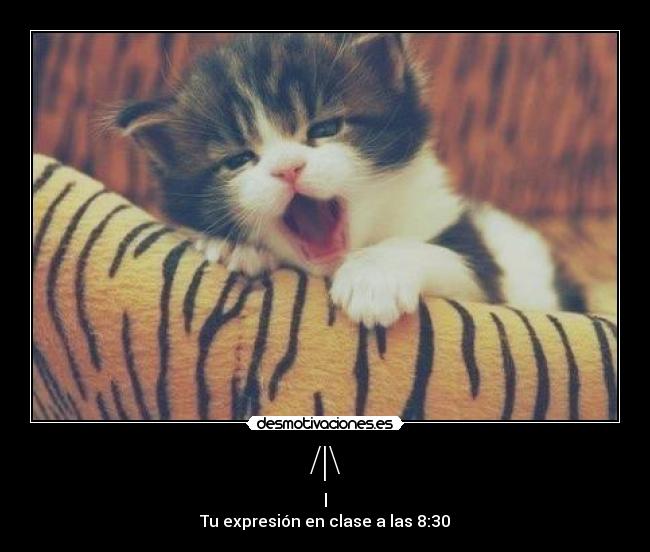 /|\ - |
Tu expresión en clase a las 8:30