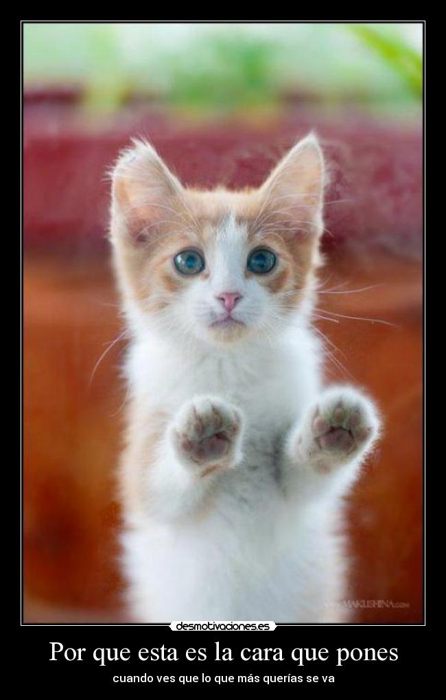 Por que esta es la cara que pones - cuando ves que lo que más querías se va