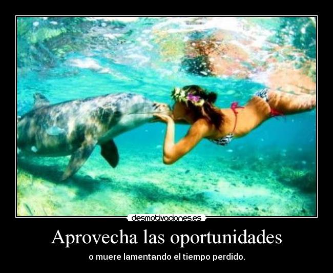 Aprovecha las oportunidades -