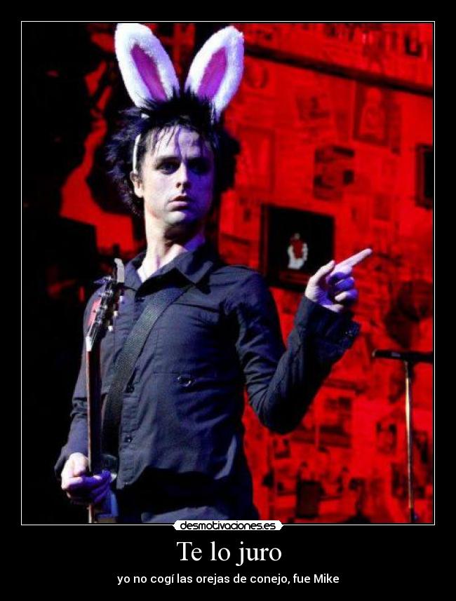 Te lo juro - yo no cogí las orejas de conejo, fue Mike