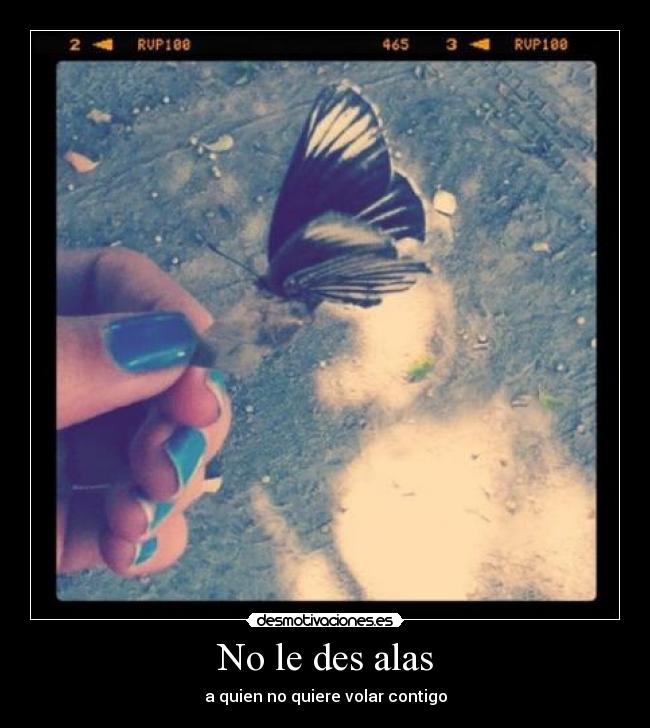 No le des alas - a quien no quiere volar contigo