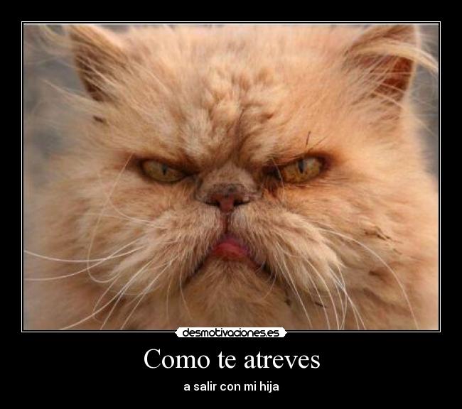 Como te atreves - 