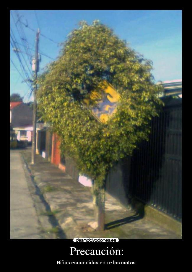 Precaución: - Niños escondidos entre las matas