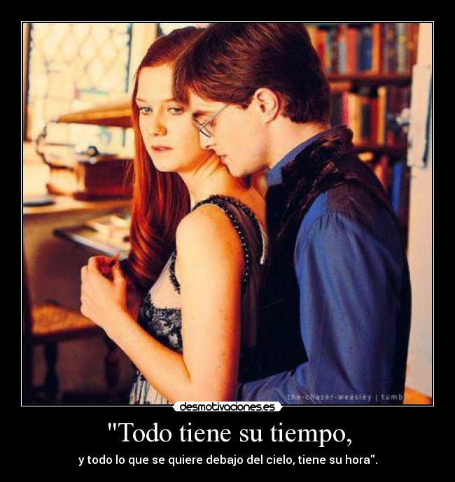 Todo tiene su tiempo, -