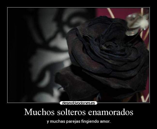 Muchos solteros enamorados -