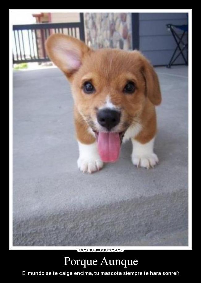 Porque Aunque - 