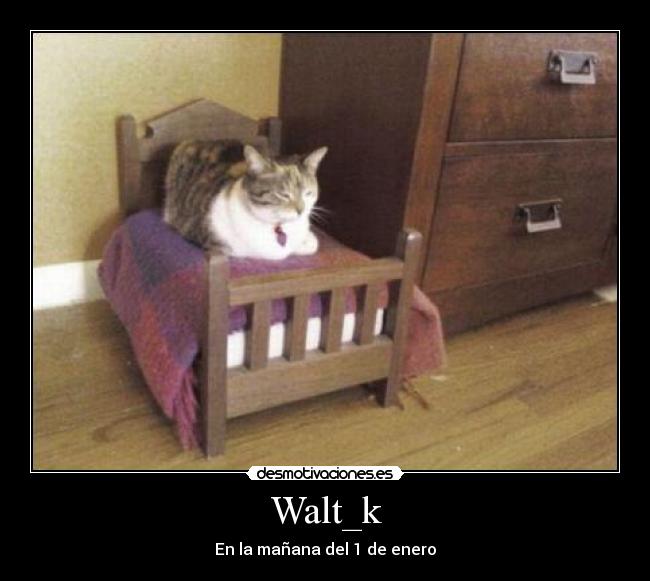 Walt_k - En la mañana del 1 de enero