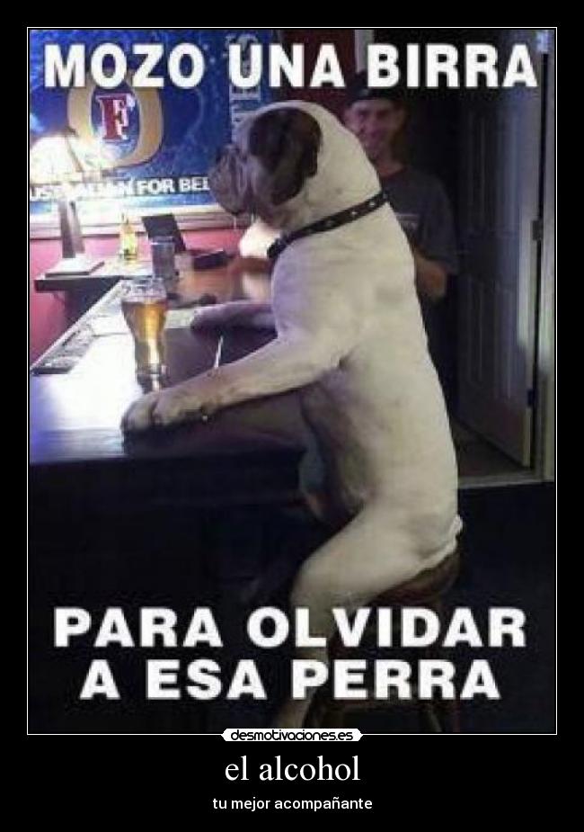 el alcohol - tu mejor acompañante