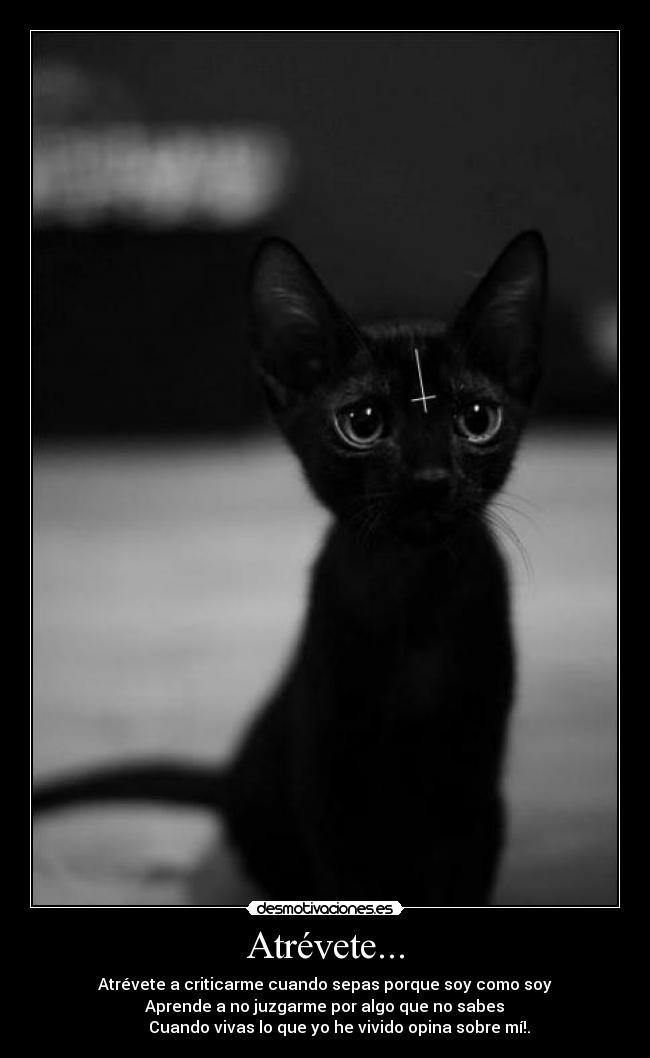 Atrévete... - Atrévete a criticarme cuando sepas porque soy como soy
Aprende a no juzgarme por algo que no sabes
Cuando vivas lo que yo he vivido opina sobre mí!.