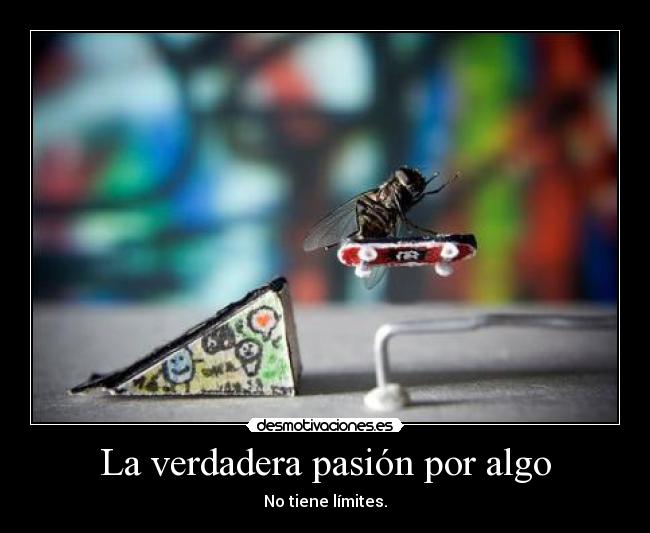 carteles passion desmotivaciones