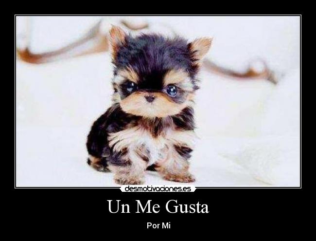 Un Me Gusta - 