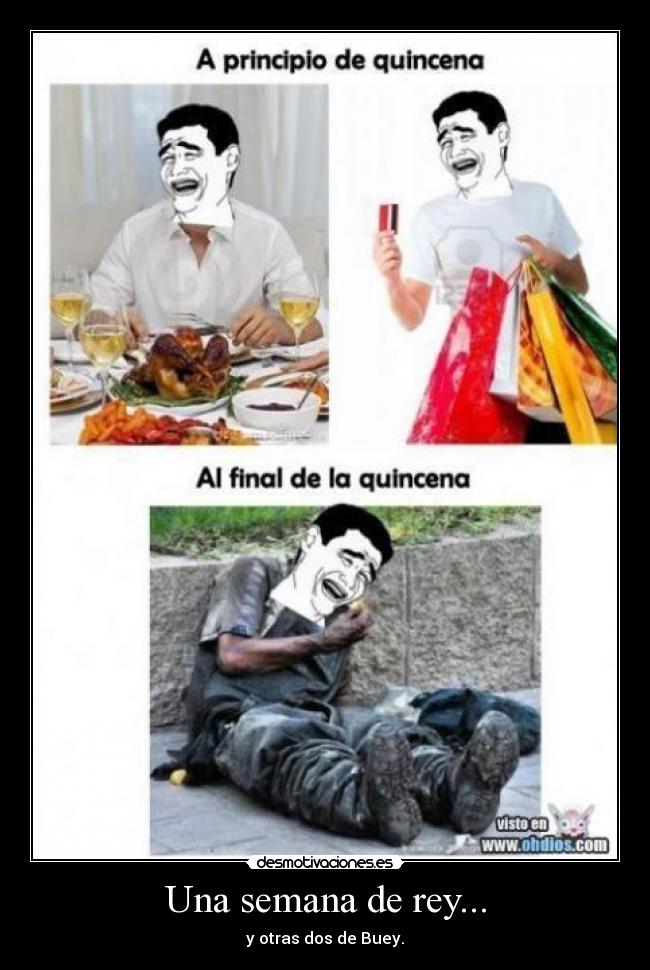 Una semana de rey... -