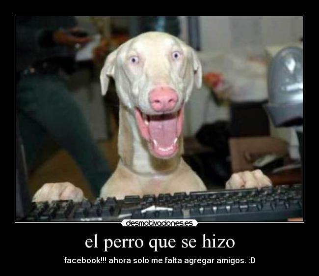 el perro que se hizo - facebook!!! ahora solo me falta agregar amigos. :D