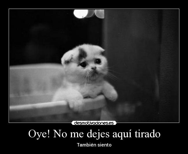 Oye! No me dejes aquí tirado - También siento