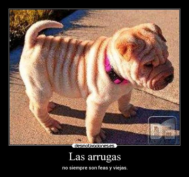 Las arrugas -
