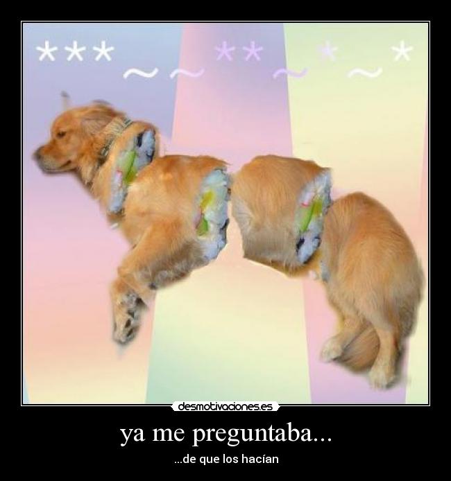 ya me preguntaba... - ...de que los hacían