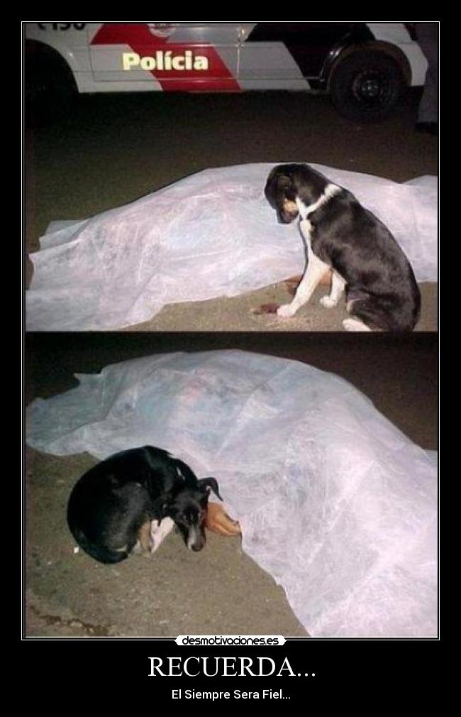 RECUERDA... - El Siempre Sera Fiel...