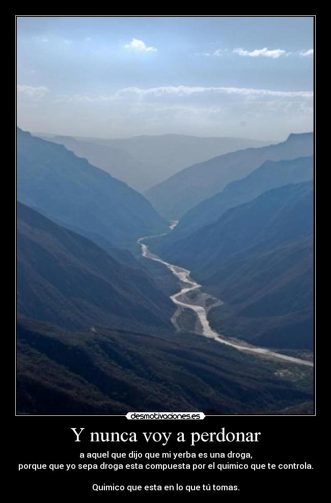 carteles viva por siempre legado bobmarley desmotivaciones