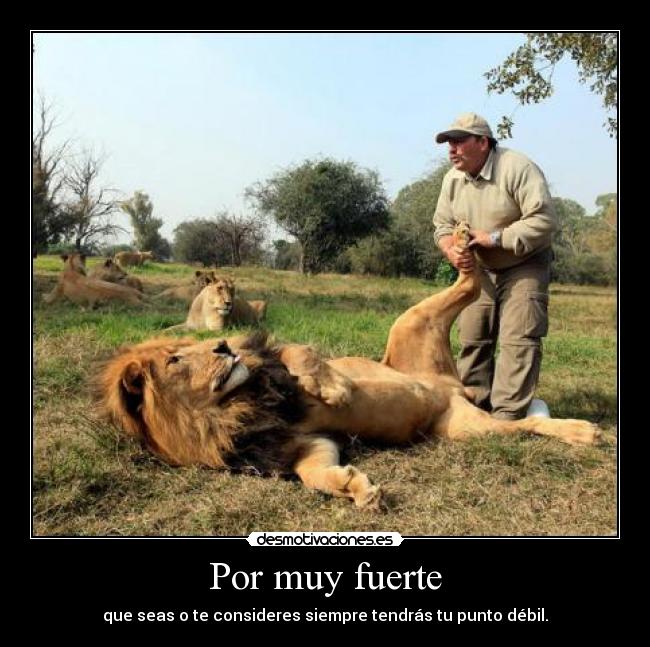 Por muy fuerte - que seas o te consideres siempre tendrás tu punto débil.