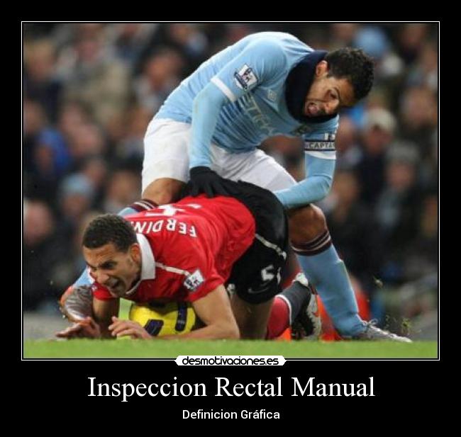 Inspeccion Rectal Manual - Definicion Gráfica