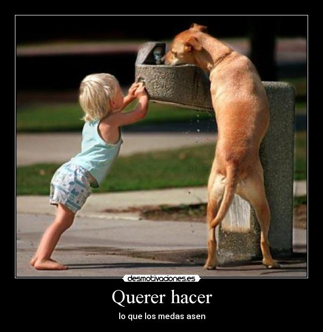 Querer hacer -