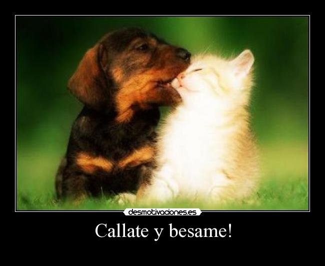 Callate y besame! -
