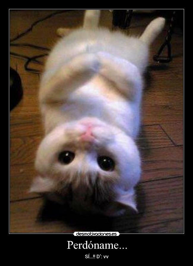 Perdóname... - SÍ...!! D: vv