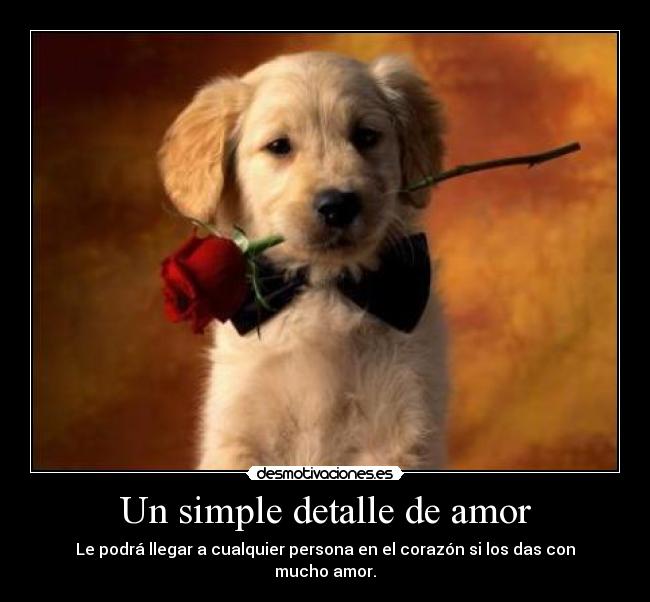 carteles amor simple detalle amor desmotivaciones