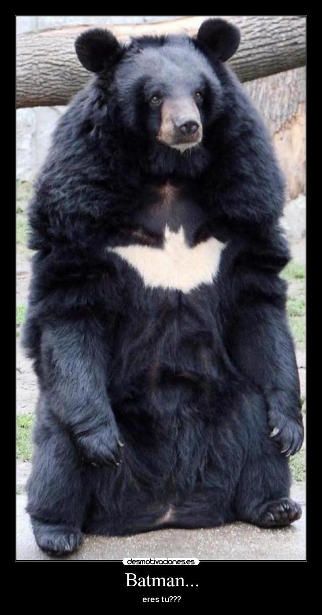 Batman... -