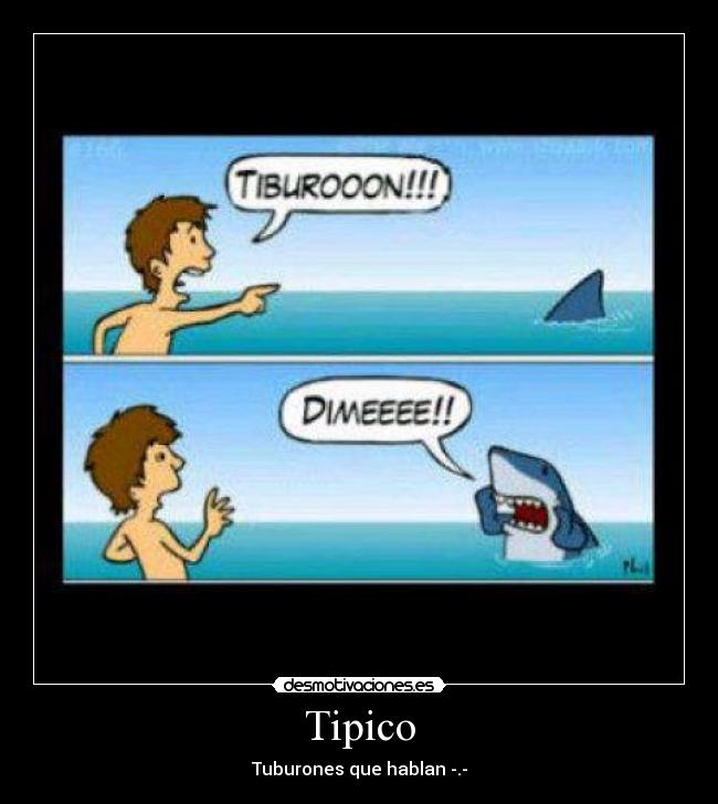 Tipico -