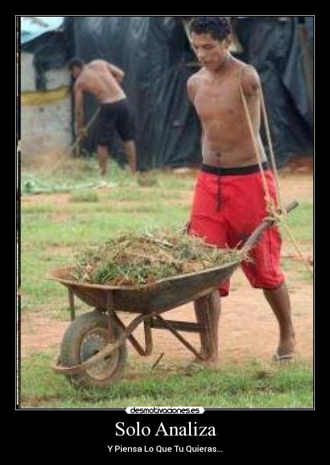 Solo Analiza -