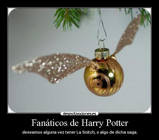 Fanáticos de Harry Potter -