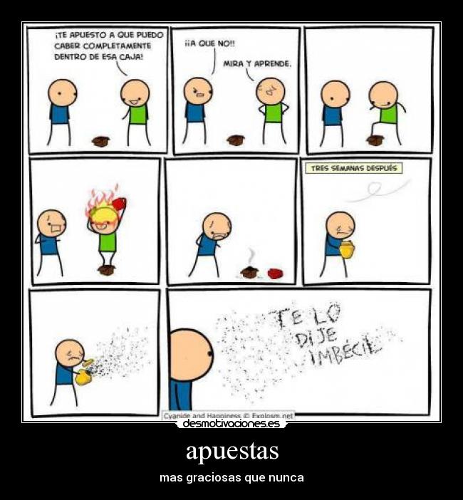 apuestas - 