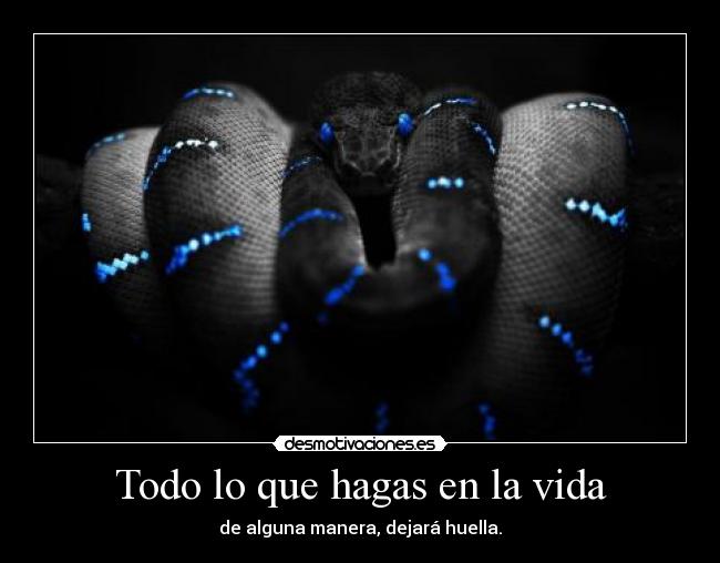 carteles vida rubiitu desmotivaciones